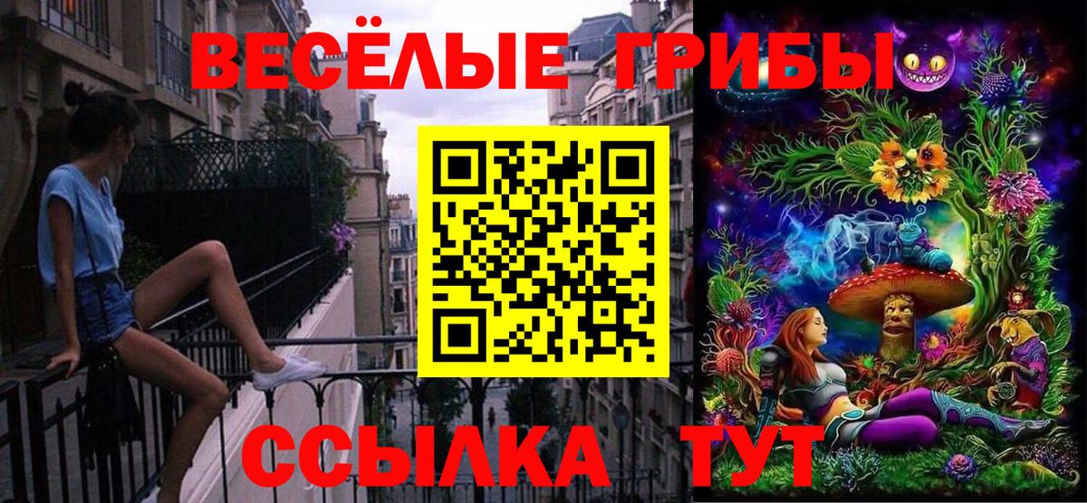 Городец  Галлюциногенные грибы мицелий  Вход с VPN  Псилоцибиновые грибы GOLDEN TEACHER 